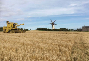 Things to do in County Dublin, Ireland - Skerries Mills Harvest Time Festival - YourDaysOut
