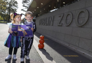Things to do in County Dublin Dublin, Ireland - Halloween at Dublin Zoo - YourDaysOut