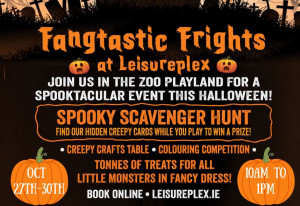 Things to do in County Dublin, Ireland - Fangtastic Frights - YourDaysOut