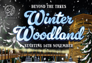 Things to do this weekend | 14th - 16th, November, 2025 - YourDaysOut