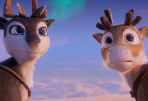 Things to do this weekend | 21st - 23rd, November, 2025 - YourDaysOut