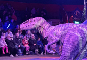 Things to do this weekend | 16th - 18th, January, 2026 - YourDaysOut