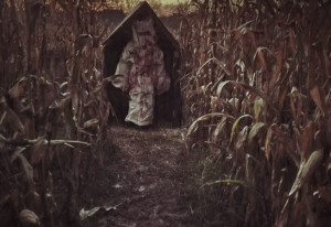 Things to do in County Wexford, Ireland - Cornmaze Massacre - YourDaysOut