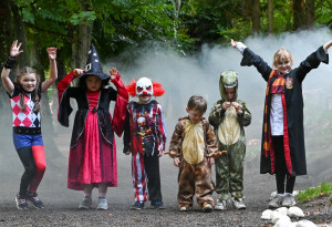 Things to do in County Kilkenny, Ireland - Jurassic Newpark’s Halloween Experience, 24th October to 1st November - YourDaysOut