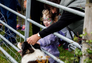 Airfield Estate's Harvest Festival is a weekend celebrating farming, food and life on the farm. - YourDaysOut