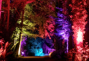 Things to do in County Kildare, Ireland - Land of Light - YourDaysOut