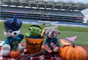 Things to do in , - Things to do this weekend | 23rd - 26th October, 2026 - YourDaysOut