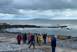 Things to do in County Dublin, Ireland - Fossil Walks - YourDaysOut