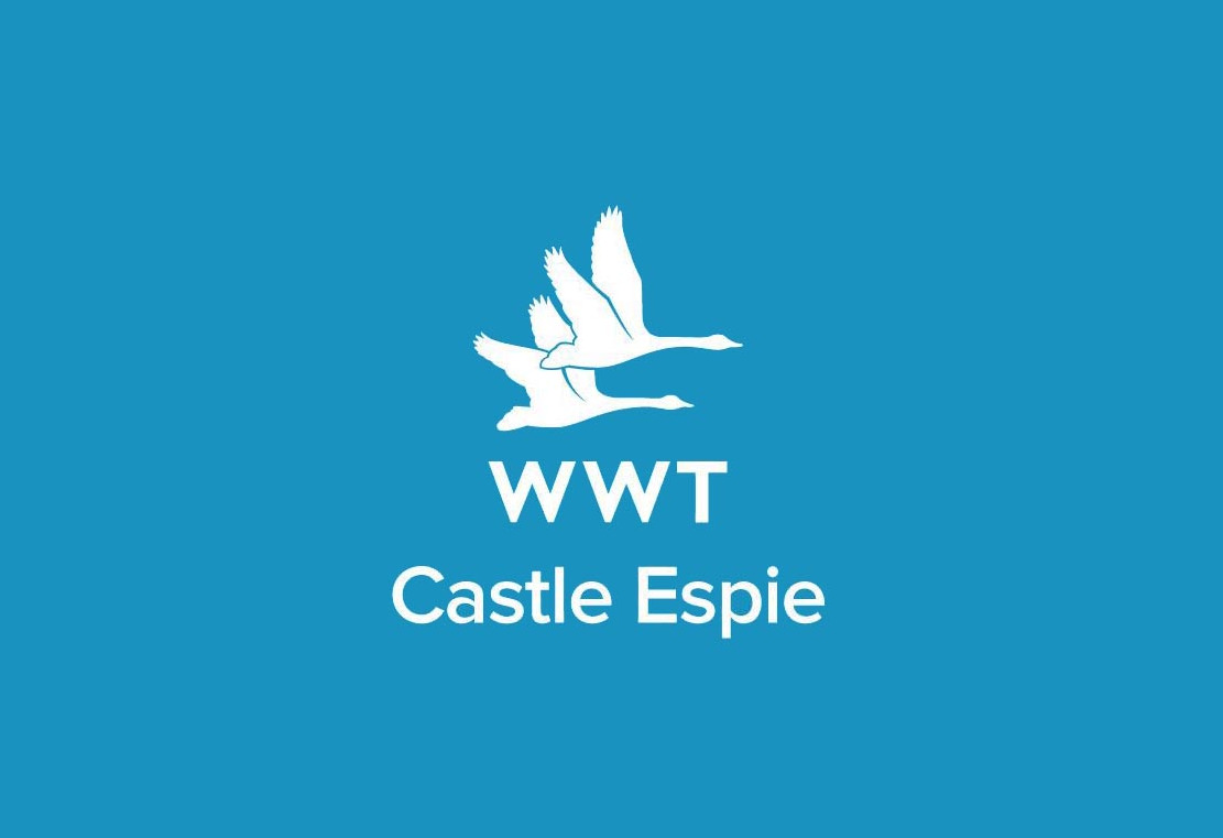 Castle Espie Wetlands Centre - YourDaysOut