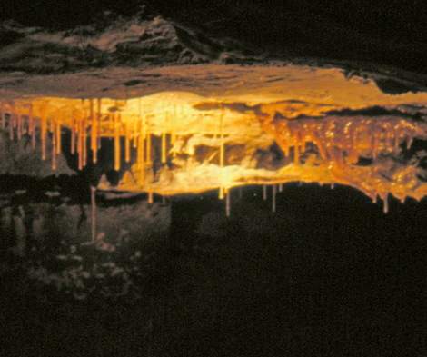 Aillwee Caves - YourDaysOut