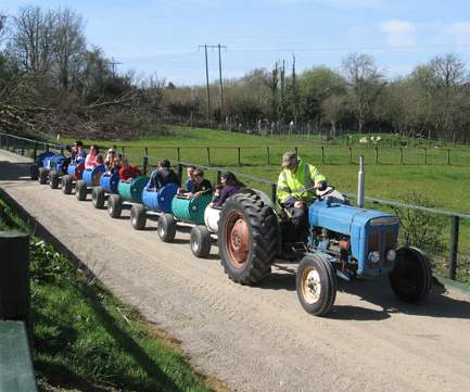 Things to do in County Donegal, Ireland - Lurgybrack Open Farm - YourDaysOut - Photo 3