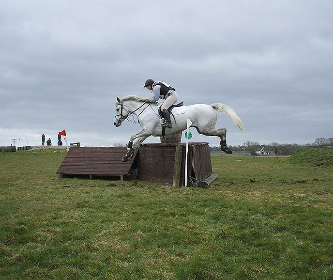 Carrigbeg Riding Stables - YourDaysOut