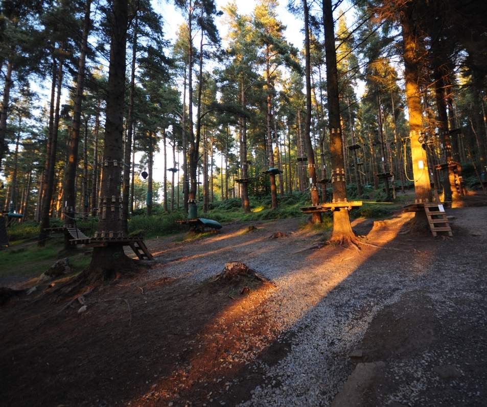 Zipit Forest Adventures, Dublin - YourDaysOut