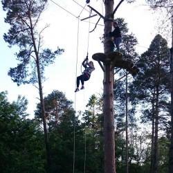 Zipit Forest Adventures, Cork - YourDaysOut