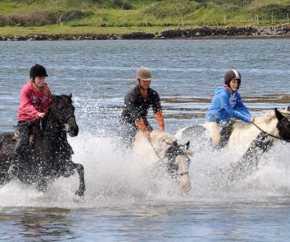 Carrowholly Stables - YourDaysOut