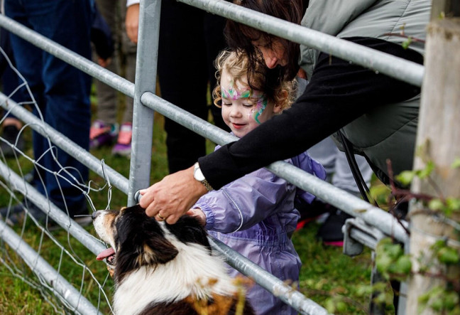 Things to do in County Dublin, Ireland - Airfield Estate’s Harvest Festival - YourDaysOut