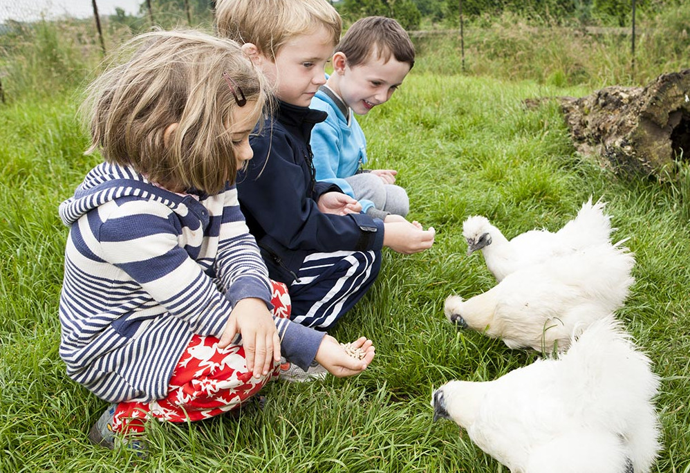 Things to do in County Meath, Ireland - Newgrange Farm - YourDaysOut