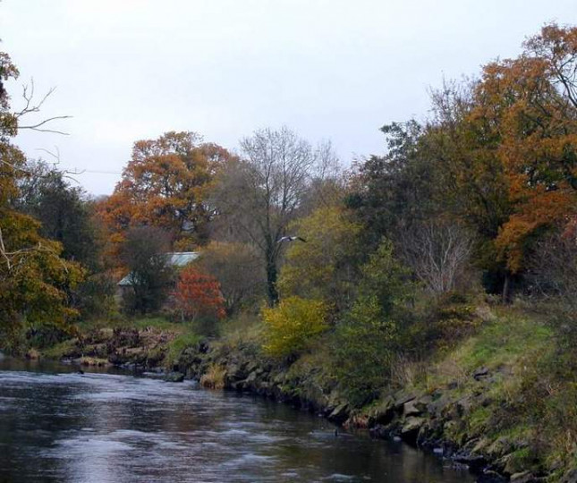 Things to do in Northern Ireland Limavady, United Kingdom - Roe Valley Country Park - YourDaysOut