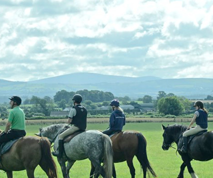 Things to do in County Kildare, Ireland - Abbeyfield Farm - YourDaysOut