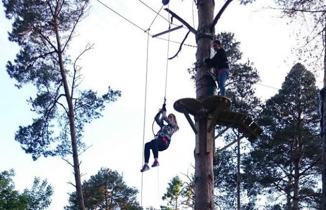 Win a family pass to one of the amazing Zipit Forest Adventure locations around Ireland. - YourDaysOut