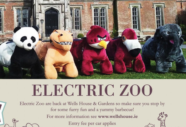 Things to do in County Wexford, Ireland - Electric Zoo - YourDaysOut