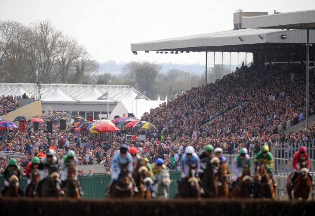 Things to do in County Kildare, Ireland - Punchestown Racecourse - YourDaysOut