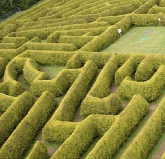 Things to do in County Kildare, Ireland - Kildare Maze Activity Park - YourDaysOut