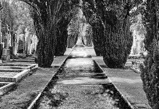 Things to do in County Dublin Dublin, Ireland - Mid Term Tales at Glasnevin Cemetery Museum - YourDaysOut