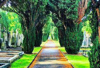 Things to do in County Dublin Dublin, Ireland - Mid Term Tales at Glasnevin Cemetery Museum - YourDaysOut