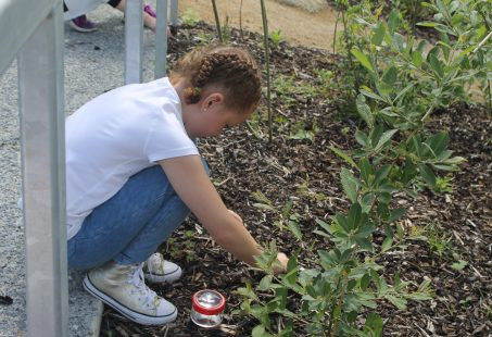 Things to do in County Dublin, Ireland - Gardening for Kids Workshop - YourDaysOut