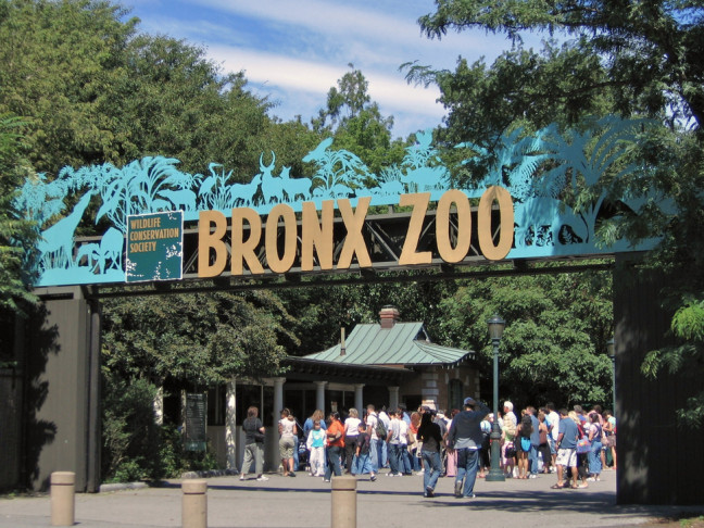 Things to do in New York, United States - Bronx Zoo - YourDaysOut