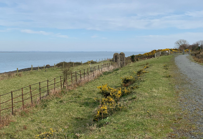 Things to do in County Louth, Ireland - OnYerBike - YourDaysOut