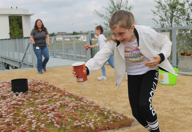 Things to do in County Dublin Dublin, Ireland - October Halloween Midterm Camp - YourDaysOut