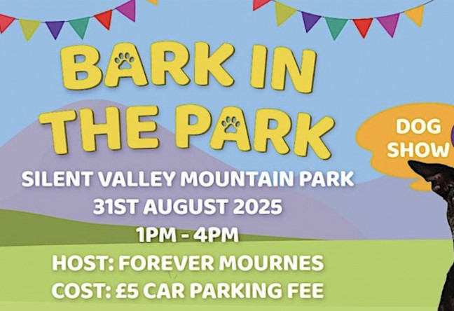 Things to do in Northern Ireland Newry, United Kingdom - Bark in the Park - YourDaysOut