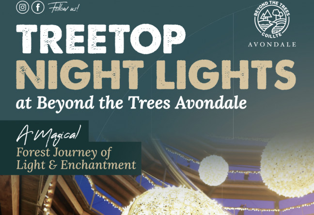 Things to do in County Wicklow, Ireland - Treetop Night LIghts - YourDaysOut