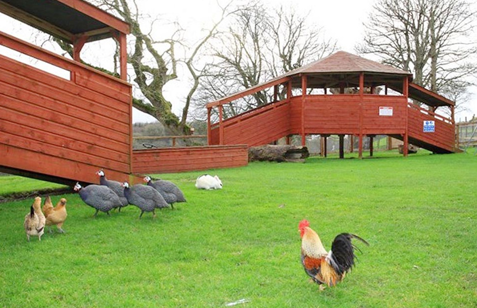 Kennedy's Pet Farm - YourDaysOut