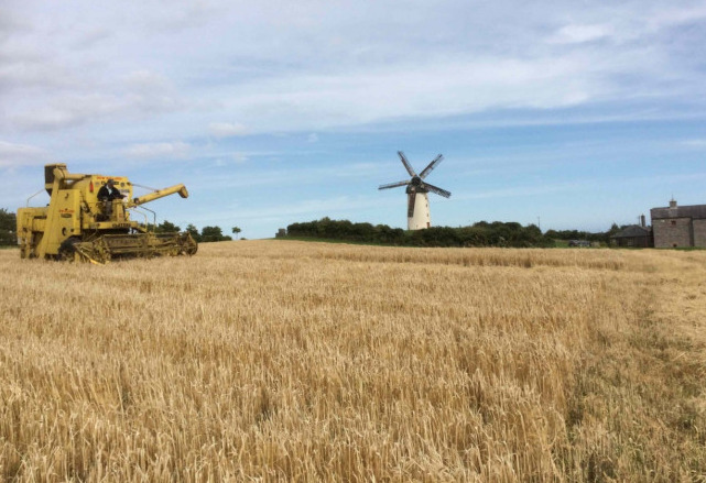 Things to do this weekend | Friday 22nd - Sunday 24th, August