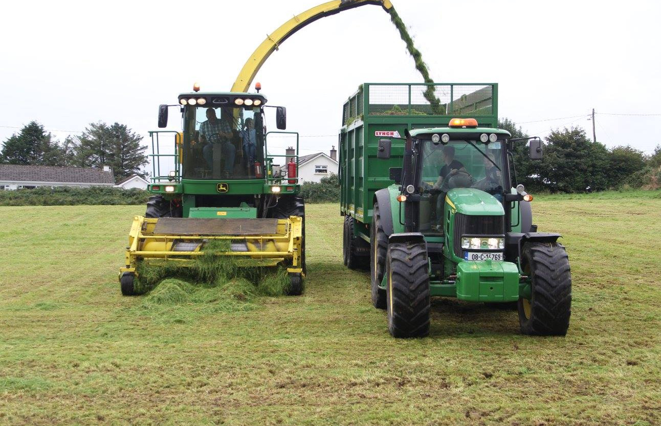 The Farm, Grenagh - YourDaysOut