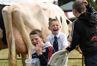 Tullow Show - YourDaysOut