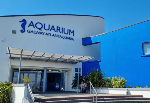 Galway Atlantaquaria - YourDaysOut