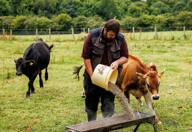 Things to do in County Dublin, Ireland - Airfield Estate and Farm - YourDaysOut