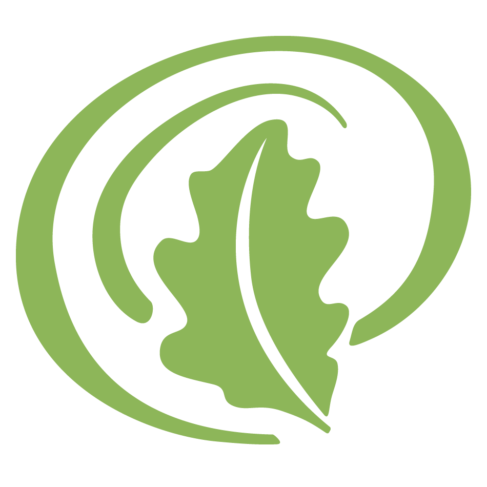 Brigit's Weekend Celebrations logo