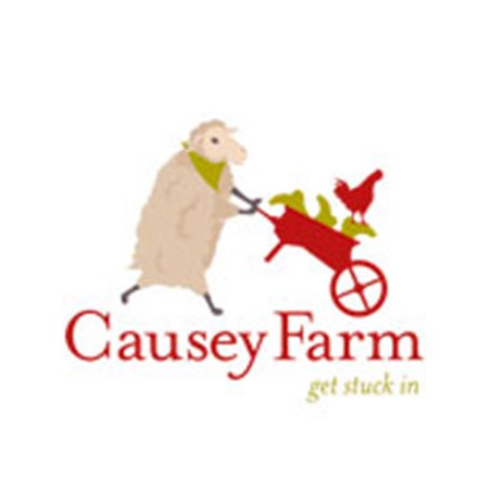 Causey Ice Cream Adventure logo