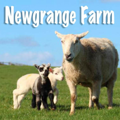 Newgrange Farm | Easter | April 2023 logo