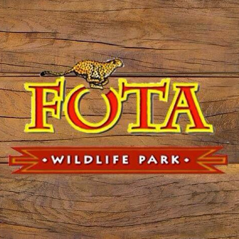 Art Workshop at Easter | Fota Wildlife Park logo