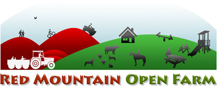 Halloween @ Red Mountain Open Farm logo