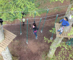 Great fun: Climb high into the treetops, swing into cargo nets and fly down one of our many ziplines.  - YourDaysOut