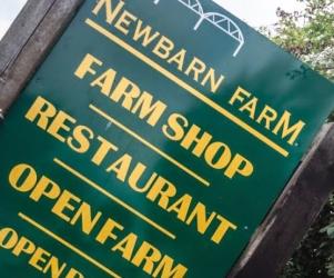 Things to do in County Meath, Ireland - Newbarnfarm - YourDaysOut